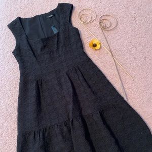 NWT Nanette Lepore dress. Size 8.